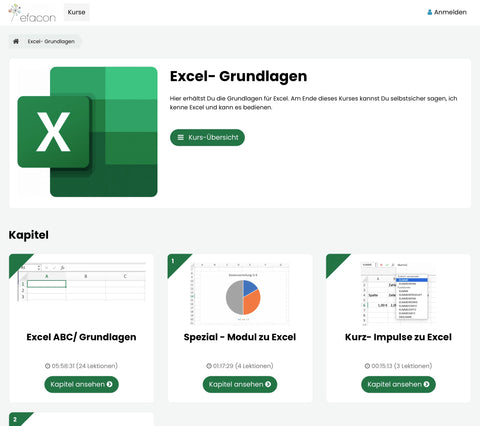 Online-Akademie: MS Excel Grundlagen mit anschaulichen Beispielen